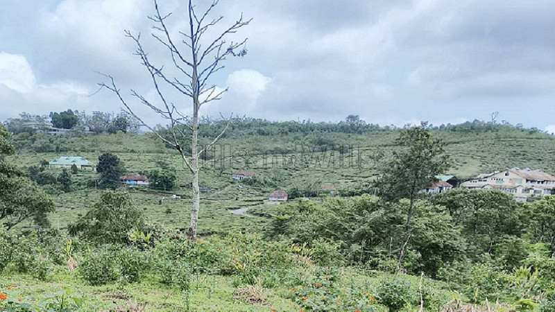 ₹40 Lac | 50 cents commerical land for sale in peermede idukki