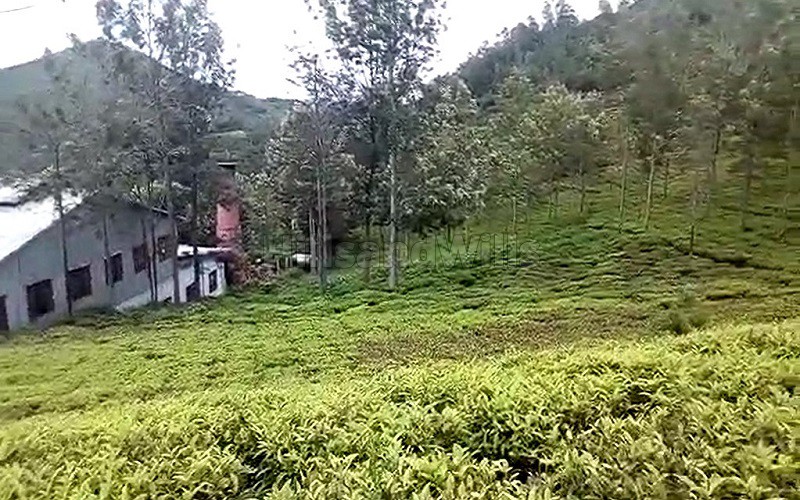 ₹1.30 Cr&nbsp;|&nbsp;5 cents residential plot for sale  in kannerimukku kotagiri