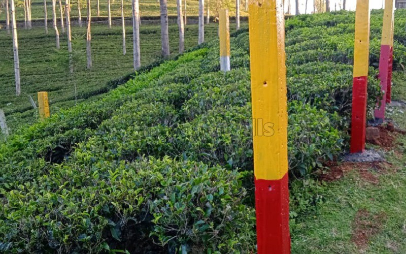 ₹1.30 Cr&nbsp;|&nbsp;5 cents residential plot for sale  in kannerimukku kotagiri