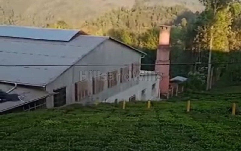 ₹1.30 Cr&nbsp;|&nbsp;5 cents residential plot for sale  in kannerimukku kotagiri