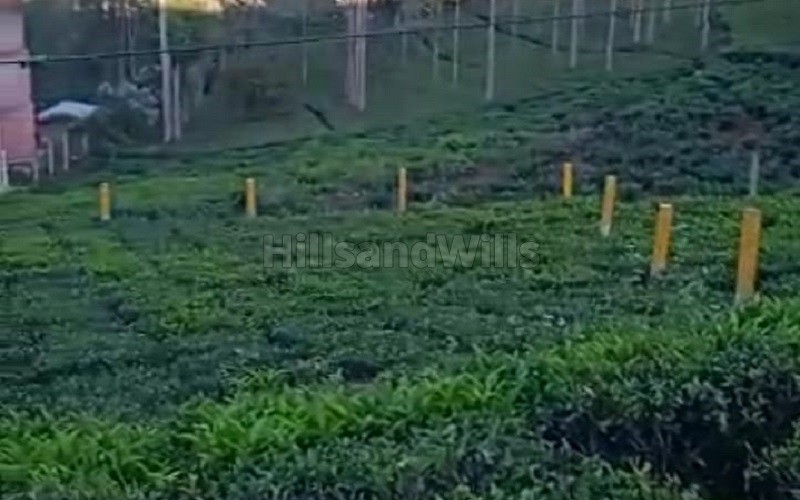 ₹1.30 Cr&nbsp;|&nbsp;5 cents residential plot for sale  in kannerimukku kotagiri