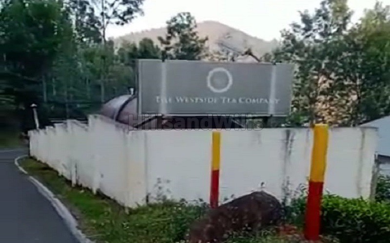 ₹1.30 Cr&nbsp;|&nbsp;5 cents residential plot for sale  in kannerimukku kotagiri