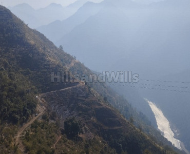 50 nali agriculture land for sale  in bachelikhal, between devprayag and rishikesh