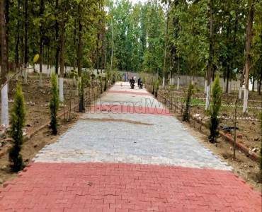 200 gaj residential plot for sale  in ganeshpur dehradun