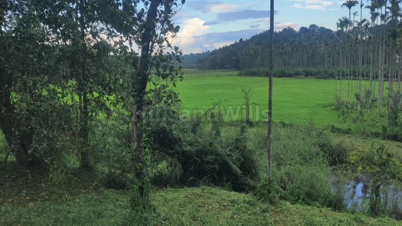 ₹90 Lac&nbsp;|&nbsp;72 cents residential plot for sale  in panamaram wayanad