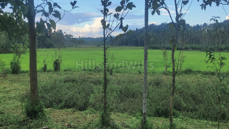 ₹90 Lac&nbsp;|&nbsp;72 cents residential plot for sale  in panamaram wayanad