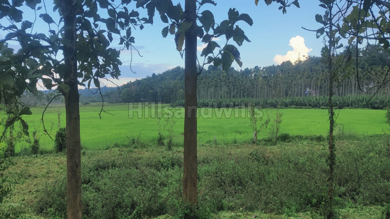 ₹90 Lac&nbsp;|&nbsp;72 cents residential plot for sale  in panamaram wayanad