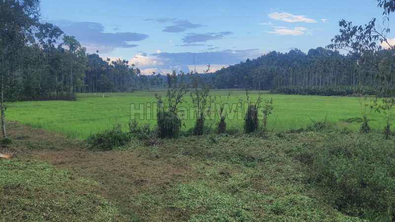 ₹90 Lac&nbsp;|&nbsp;72 cents residential plot for sale  in panamaram wayanad
