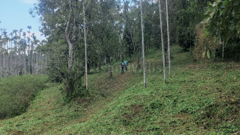 ₹90 Lac&nbsp;|&nbsp;72 cents residential plot for sale  in panamaram wayanad