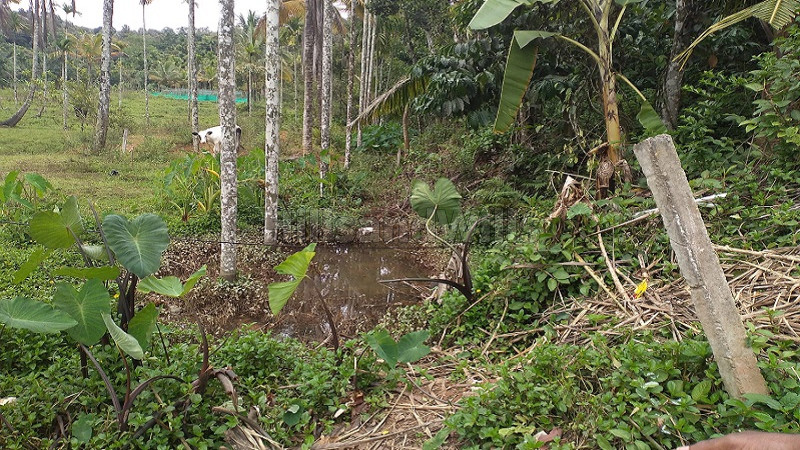 ₹15 Lac&nbsp;|&nbsp;5.75 cents residential plot for sale  in mysore main road gudalur