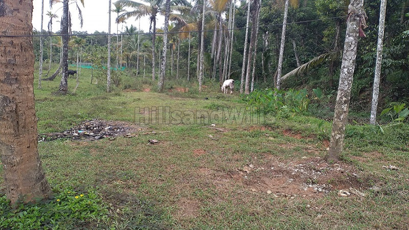 ₹15 Lac&nbsp;|&nbsp;5.75 cents residential plot for sale  in mysore main road gudalur
