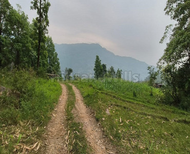 10 decimal residential plot for sale  in kalimpong near darjeeling