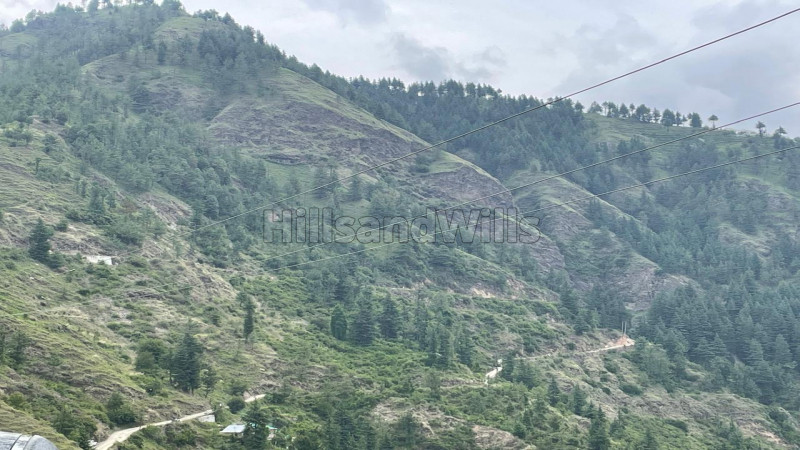 ₹6 Cr | 8.5 bigha commerical land for sale in theog shimla