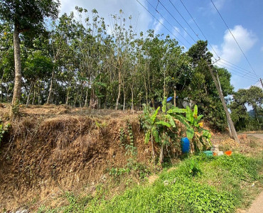 82 cents residential plot for sale  in varayal wayanad