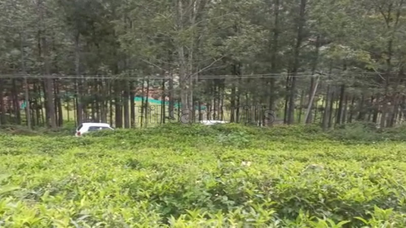 ₹45 Lac&nbsp;|&nbsp;25 cents residential plot for sale  in kotagiri ooty