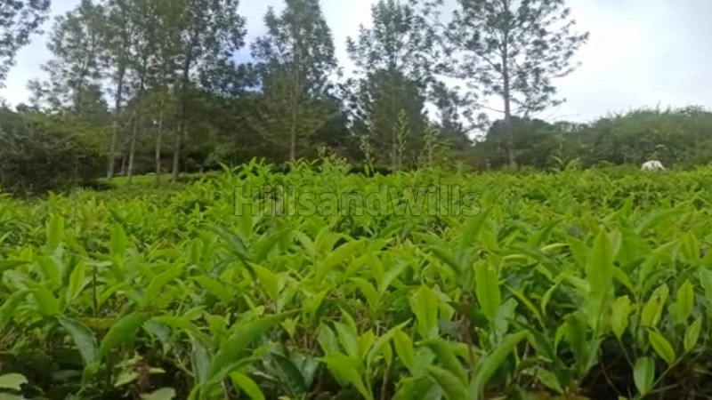 ₹45 Lac&nbsp;|&nbsp;25 cents residential plot for sale  in kotagiri ooty