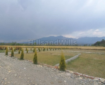 1050 sq.ft. residential plot for sale  in rajawala, central hope town dehradun