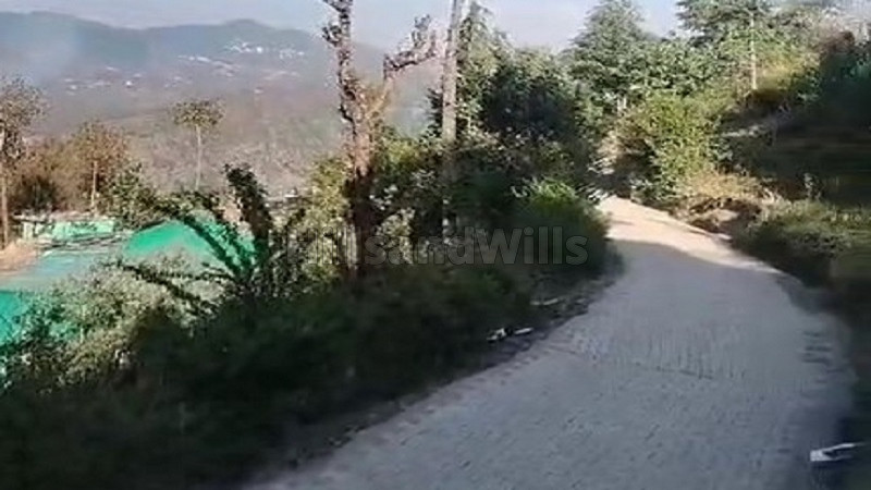 ₹55 Lac&nbsp;|&nbsp;10 biswa agriculture land for sale  in solan