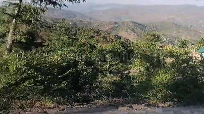 ₹55 Lac&nbsp;|&nbsp;10 biswa agriculture land for sale  in solan
