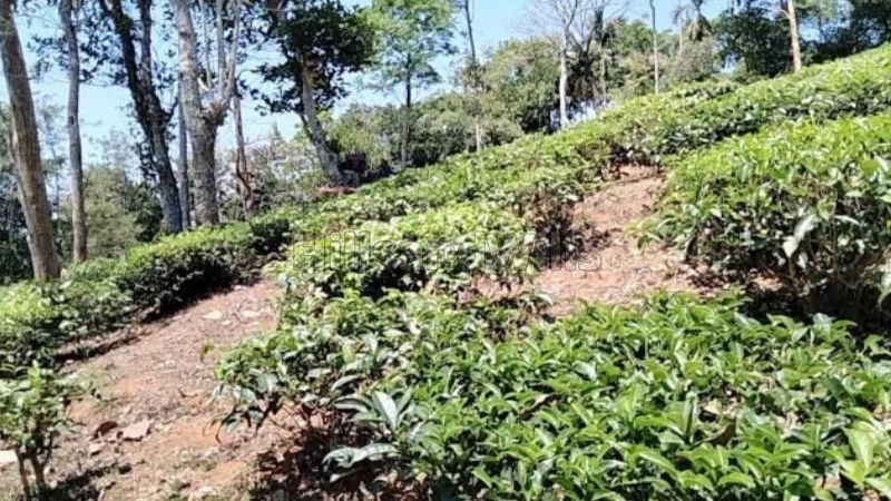 ₹40 Lac&nbsp;|&nbsp;2 acres agriculture land for sale  in kaiyunni gudalur