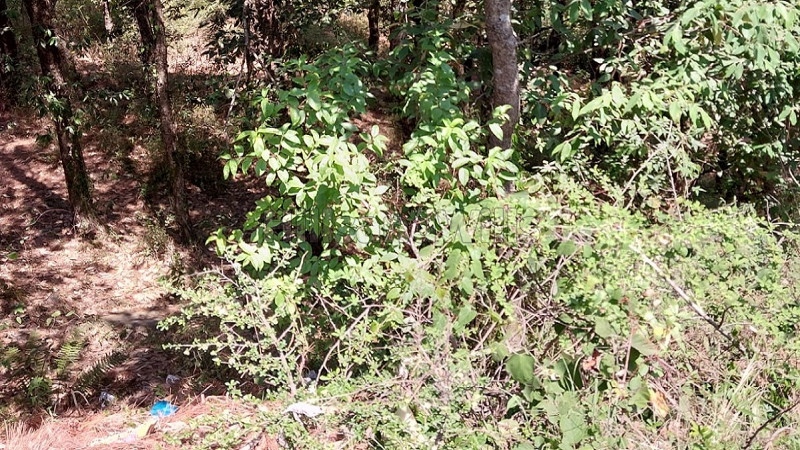 ₹3.50 Cr&nbsp;|&nbsp;8 bigha agriculture land for sale  in hira nagar shimla