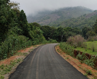 1.75 acres agriculture land for sale  in mudigere chikmagalur