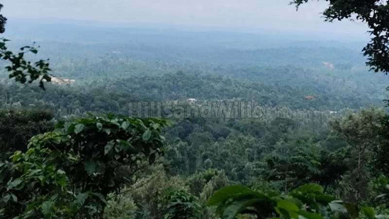 ₹65 Lac&nbsp;|&nbsp;1.75 acres agriculture land for sale  in mudigere chikmagalur