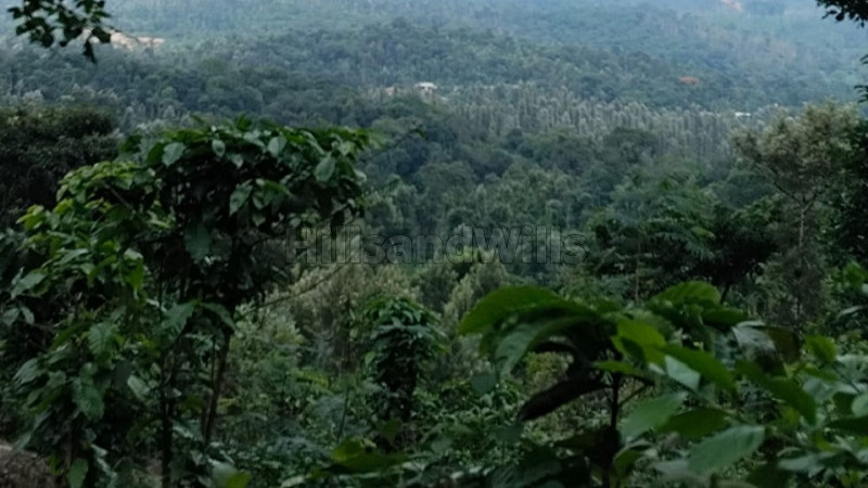 ₹65 Lac&nbsp;|&nbsp;1.75 acres agriculture land for sale  in mudigere chikmagalur