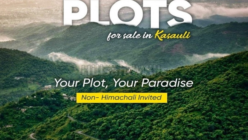 ₹55 Lac&nbsp;|&nbsp;250 sq.yards residential plot for sale  in kasauli solan