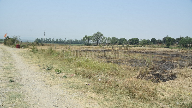 ₹20 Lac&nbsp;|&nbsp;125 sq.yards residential plot for sale  in sahaspur chakrata road dehradun
