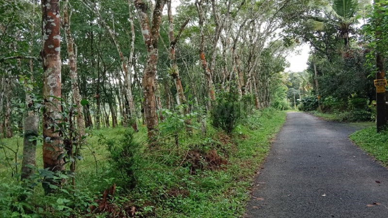 ₹2.20 Cr | 4 acres agriculture land for sale in nadavayal wayanad