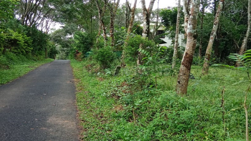 ₹2.20 Cr | 4 acres agriculture land for sale in nadavayal wayanad