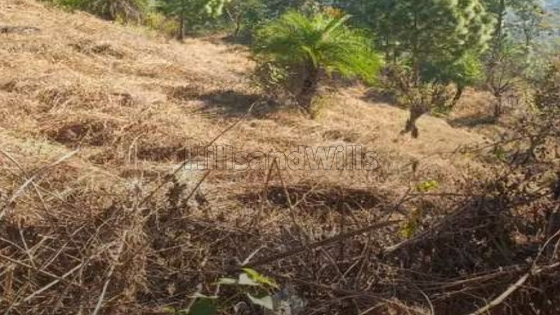 ₹7 Cr&nbsp;|&nbsp;66 biswa commerical land for sale  in dharampur kasauli, solan