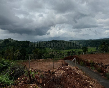 5 cents residential plot for sale  in kambalakkad wayanad