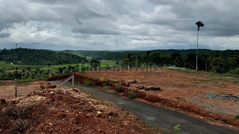 ₹6 Lac&nbsp;|&nbsp;5 cents residential plot for sale  in kambalakkad wayanad