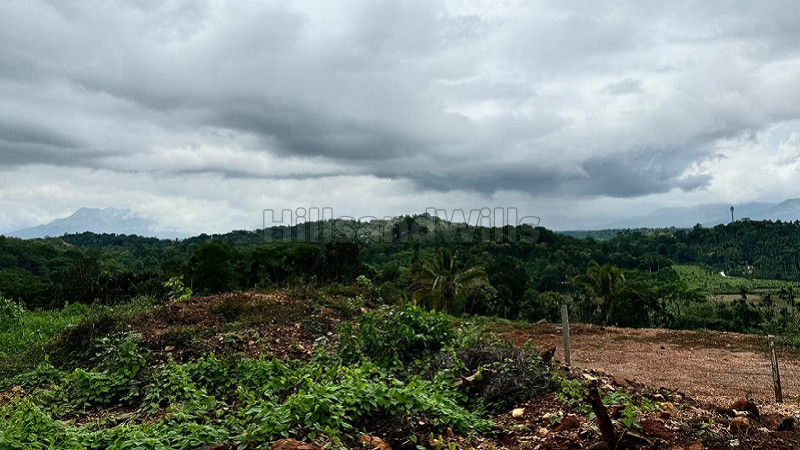 ₹6 Lac&nbsp;|&nbsp;5 cents residential plot for sale  in kambalakkad wayanad