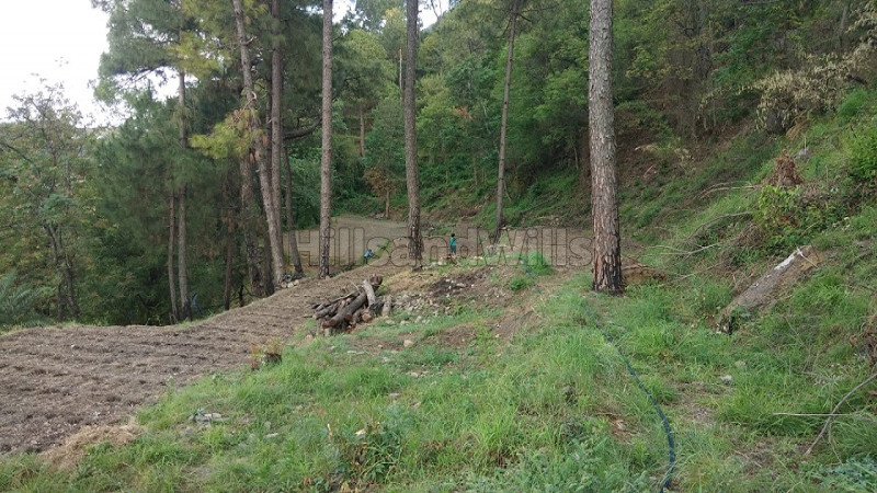 ₹52.80 Lac&nbsp;|&nbsp;7.14 bigha commerical land for lease  in dehun ghat, saproon, solan