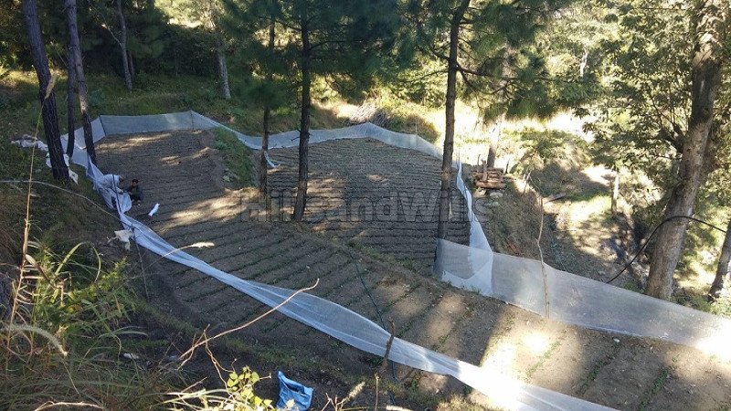 ₹52.80 Lac&nbsp;|&nbsp;7.14 bigha commerical land for lease  in dehun ghat, saproon, solan