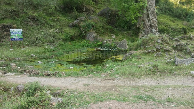 ₹52.80 Lac&nbsp;|&nbsp;7.14 bigha commerical land for lease  in dehun ghat, saproon, solan