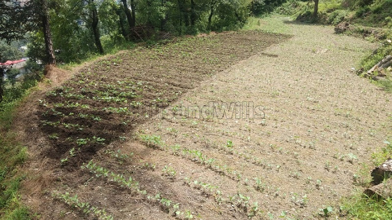 ₹52.80 Lac&nbsp;|&nbsp;7.14 bigha commerical land for lease  in dehun ghat, saproon, solan