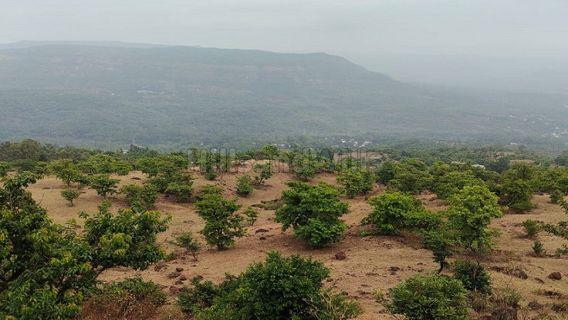 ₹2.07 Cr&nbsp;|&nbsp;17300 sq.meter commerical land for sale  in koyna dam area mahabaleshwar