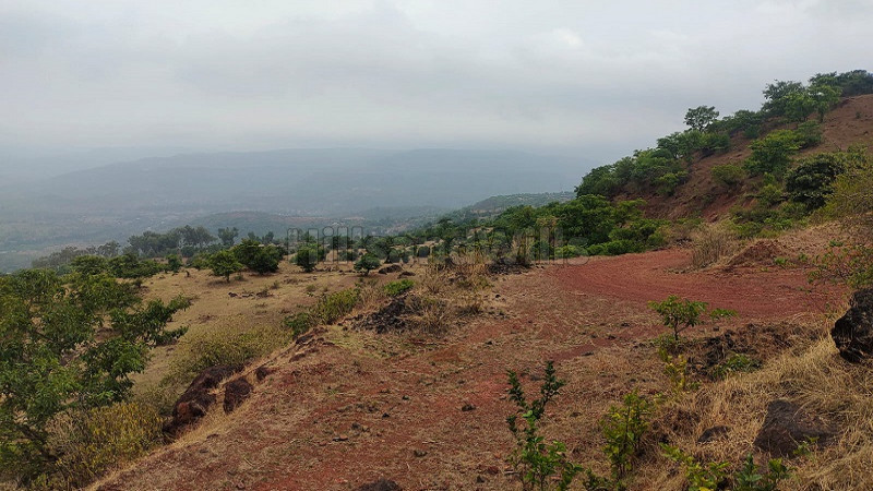 ₹2.07 Cr&nbsp;|&nbsp;17300 sq.meter commerical land for sale  in koyna dam area mahabaleshwar