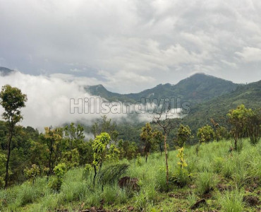 12 cents agriculture land for sale  in perummalmalai kodaikanal