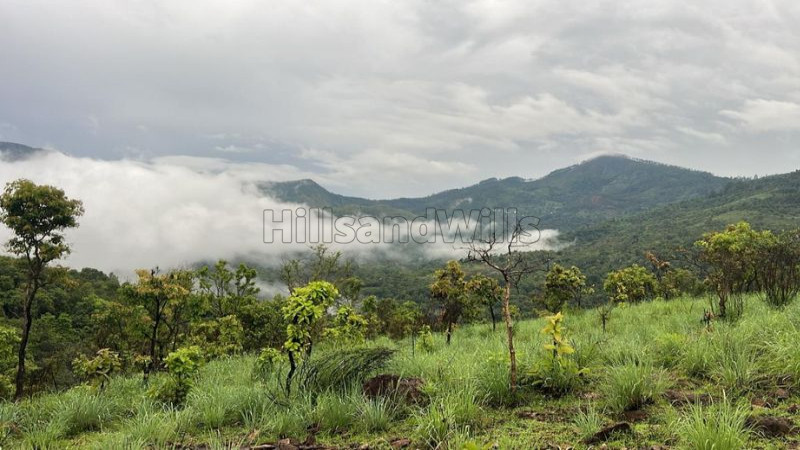 ₹33 Lac&nbsp;|&nbsp;12 cents agriculture land for sale  in perummalmalai kodaikanal