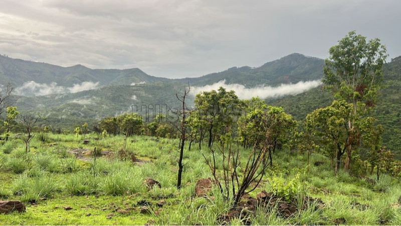 ₹33 Lac&nbsp;|&nbsp;12 cents agriculture land for sale  in perummalmalai kodaikanal
