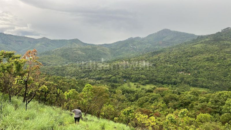 ₹33 Lac&nbsp;|&nbsp;12 cents agriculture land for sale  in perummalmalai kodaikanal