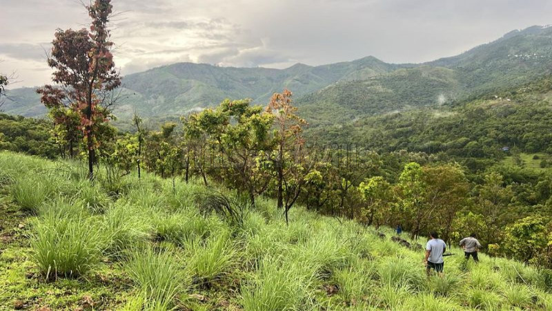 ₹33 Lac&nbsp;|&nbsp;12 cents agriculture land for sale  in perummalmalai kodaikanal