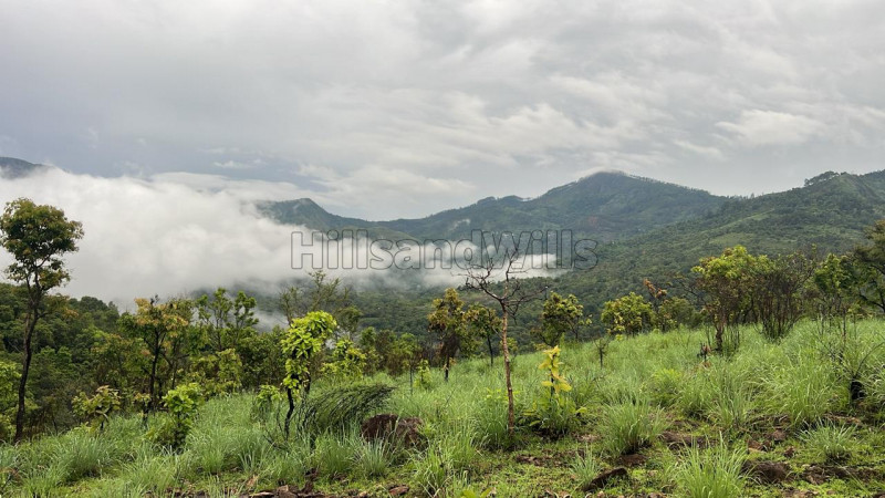 ₹49 Lac&nbsp;|&nbsp;21 cents agriculture land for sale  in perummalmalai kodaikanal