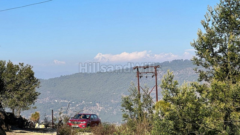 ₹51.15 Lac&nbsp;|&nbsp;7.8 nali agriculture land for sale  in ranikhet near nainital