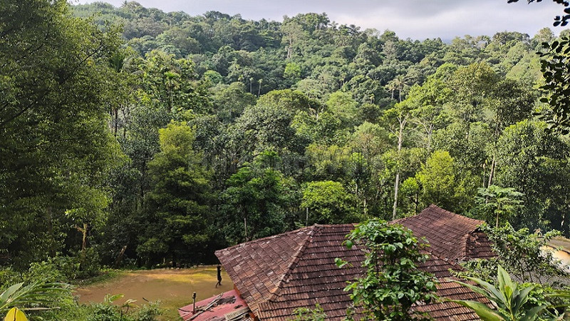 ₹1.90 Cr&nbsp;|&nbsp;5 acres agriculture land for sale  in anachal munnar